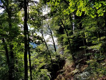 k1600_2016-09-20-15-24-32