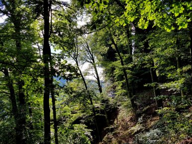 k1600_2016-09-20-15-24-32