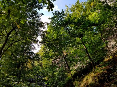 k1600_2016-09-20-15-24-37