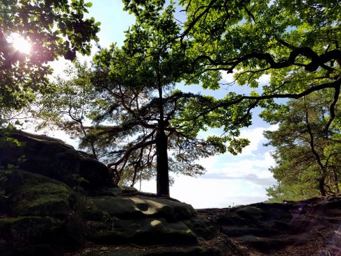 k1600_2016-09-20-15-32-09