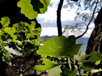 k1600_2016-09-20-15-32-23