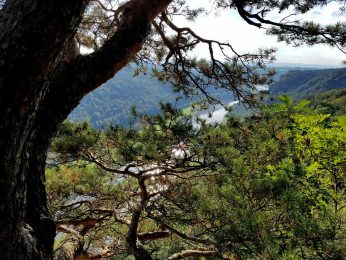 k1600_2016-09-20-16-18-03