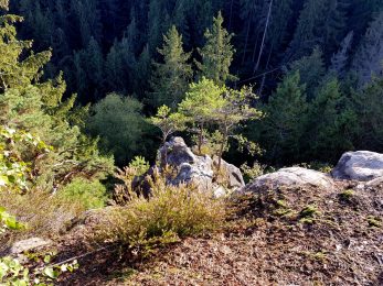 k1600_2016-09-20-17-36-14