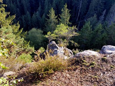 k1600_2016-09-20-17-36-14