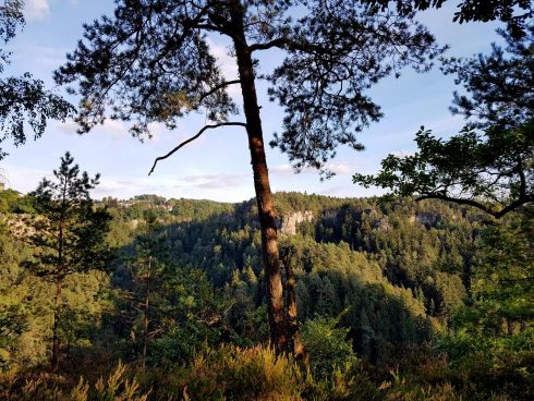 k1600_2016-09-20-17-37-38