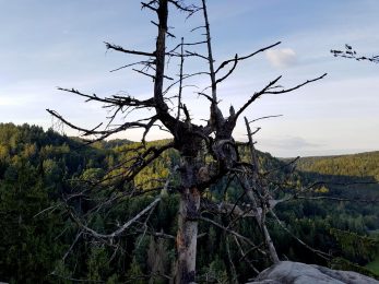 k1600_2016-09-20-17-40-45