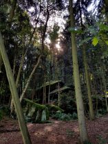 k1600_2016-09-23-12-26-12