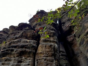 k1600_2016-09-23-12-30-43