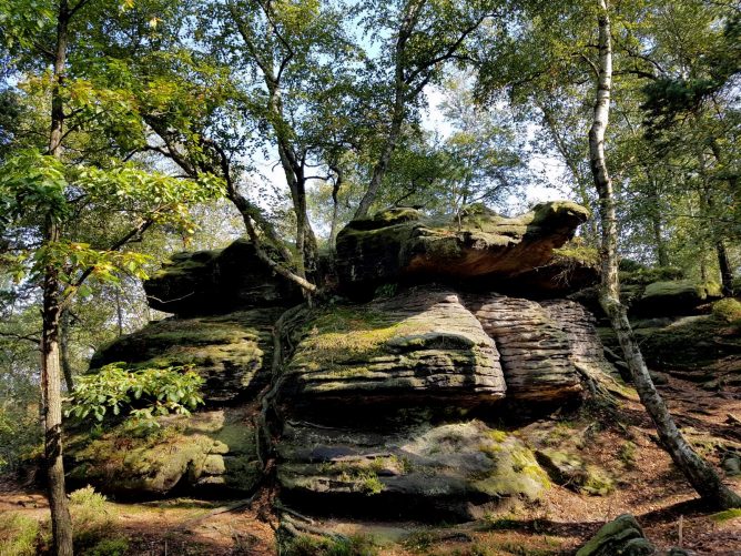 k1600_2016-09-23-12-34-09