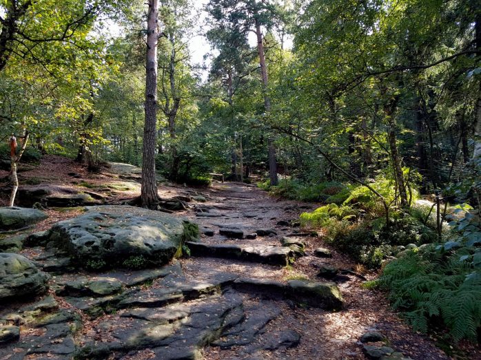 k1600_2016-09-23-12-34-11