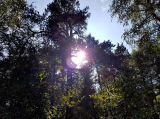 k1600_2016-09-23-12-48-40