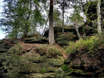 k1600_2016-09-23-13-11-19