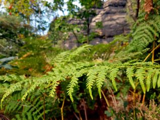 k1600_2016-09-23-13-31-49
