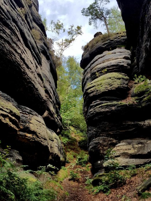 k1600_2016-09-23-13-37-48