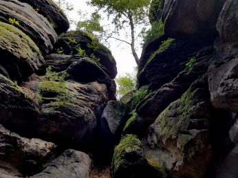 k1600_2016-09-23-13-37-58