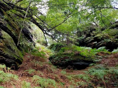 k1600_2016-09-23-13-38-23