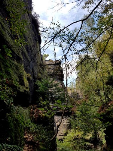 k1600_2016-09-23-13-39-33