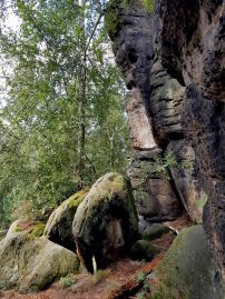 k1600_2016-09-23-13-47-17