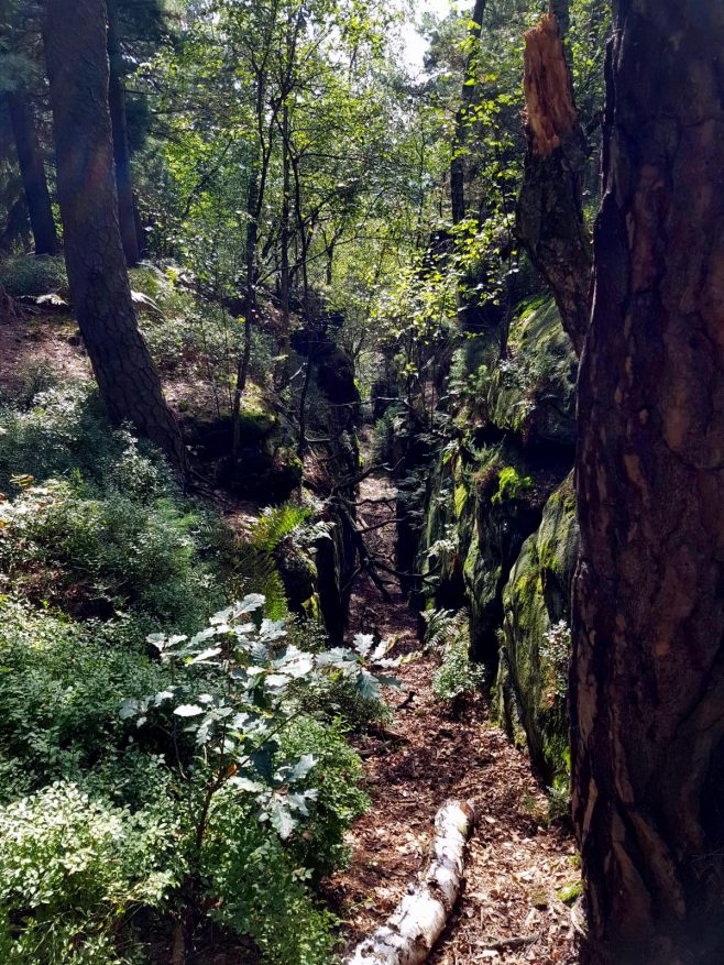 k1600_2016-09-23-14-10-51