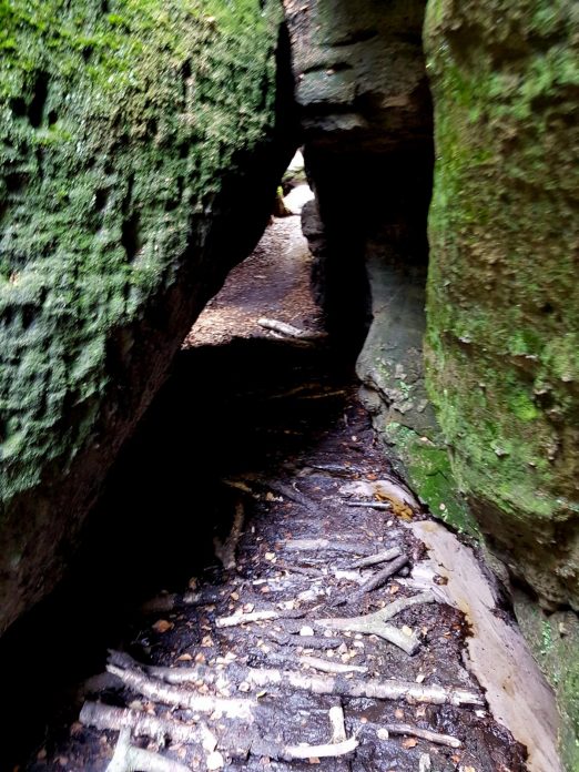 k1600_2016-09-23-14-27-15