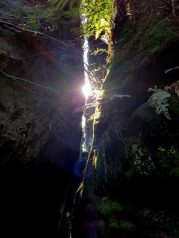 k1600_2016-09-23-14-42-46