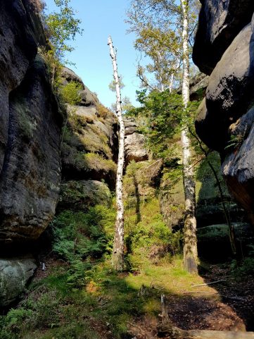 k1600_2016-09-23-14-45-52