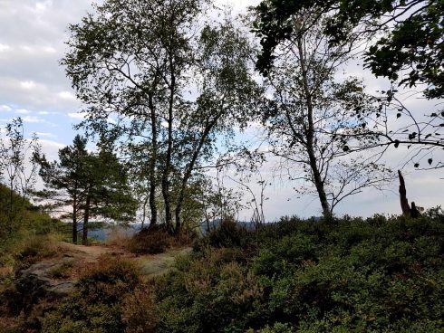 k1600_2016-09-23-16-54-55