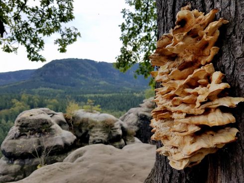 k1600_2016-09-23-16-57-52