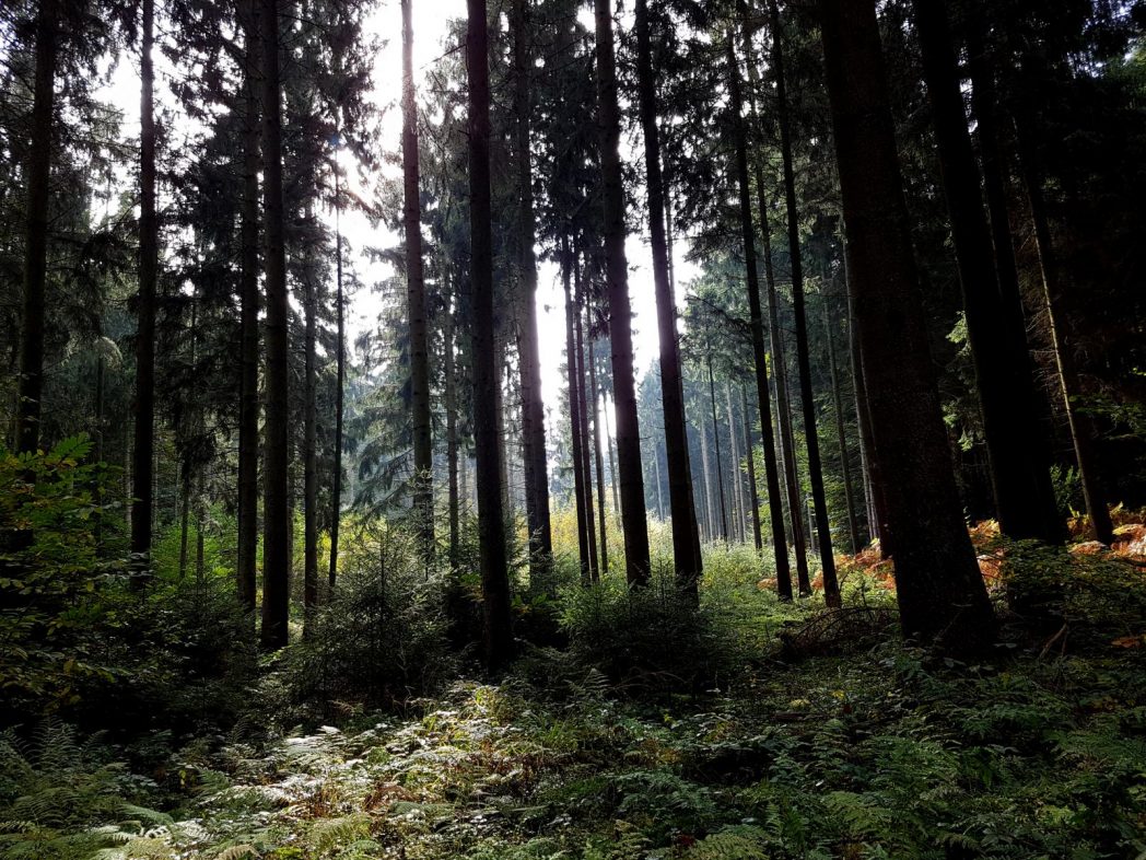 k1600_2016-10-23-13-15-04