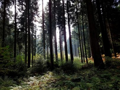 k1600_2016-10-23-13-15-04