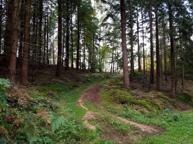 k1600_2016-10-23-13-33-42