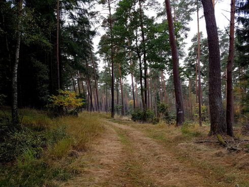 k1600_2016-10-23-13-37-36