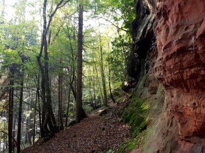 k1600_2016-10-23-14-35-36