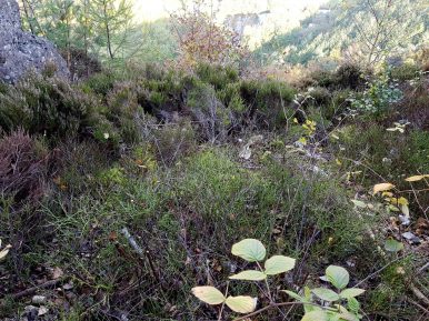 k1600_2016-10-23-14-46-52