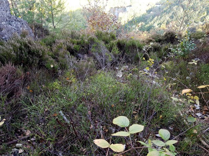 k1600_2016-10-23-14-46-52