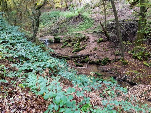 k1600_2016-10-23-15-22-37