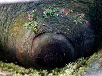 k1600_2016-10-23-15-38-39