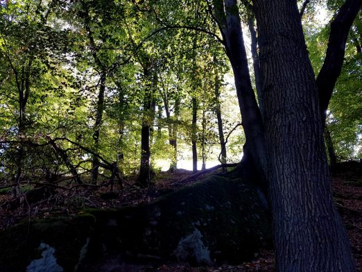 k1600_2016-10-23-15-43-05