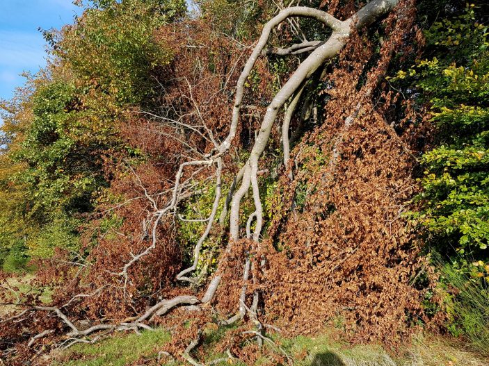 k1600_2016-10-23-15-49-42