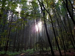 k1600_2016-10-23-16-15-05