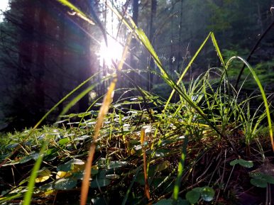 k1600_2016-10-23-16-18-47