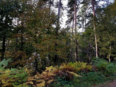 k1600_2016-10-23-16-42-25