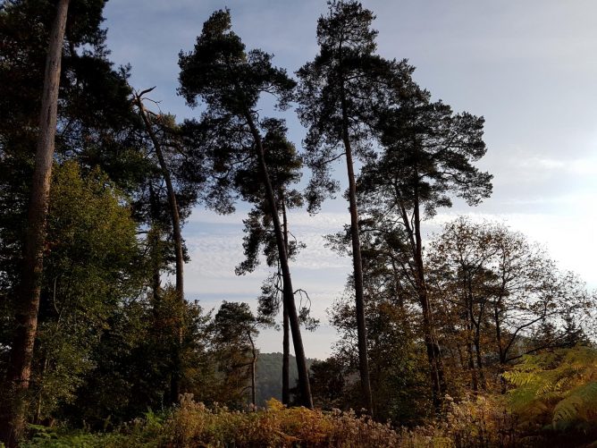 k1600_2016-10-23-16-43-17