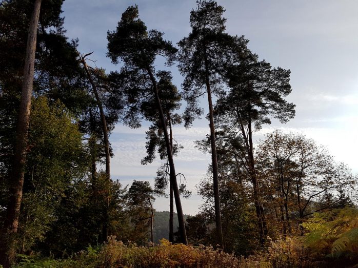 k1600_2016-10-23-16-43-17