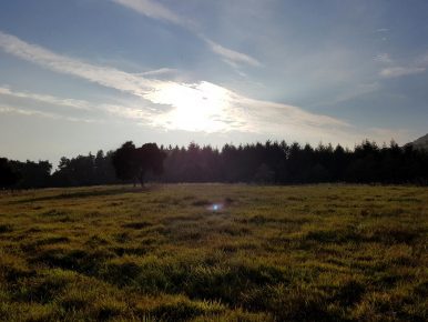 k1600_2016-10-23-17-03-09