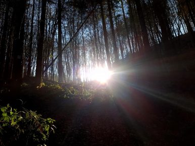 k1600_2016-12-04-12-09-25