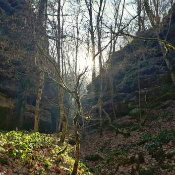 k1600_20160227_110059-01