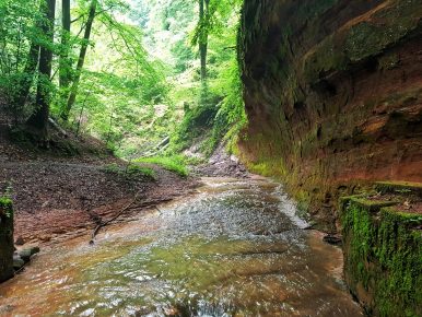 k1600_20160605_170809-01