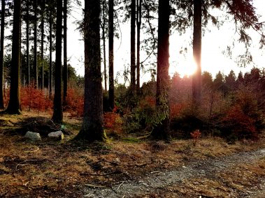 K1600_2017-03-04 07.59.09