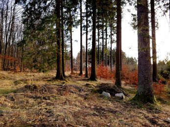 K1600_2017-03-04 07.59.11